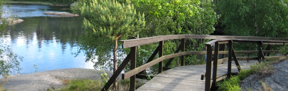 Gångbro genom ett naturområde med stenar och vatten