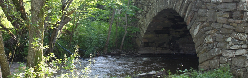 En stenvalvsbro som leder över forsande vatten